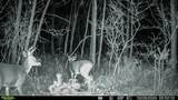 0000 Badger Drive - Photo 52