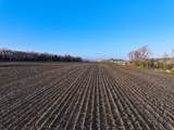 18.7 M/L Acres Milwaukee Road - Photo 18