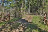 17658 Forest Lane - Photo 47