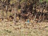  Dover Drive - Photo 20