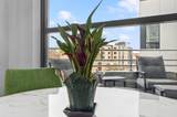 137 Wilson Street - Photo 13