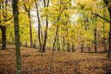 Lot 152 Pine Cone Lane - Photo 11