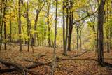 Lot 152 Pine Cone Lane - Photo 12