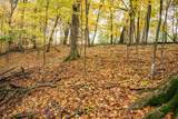 Lot 152 Pine Cone Lane - Photo 15