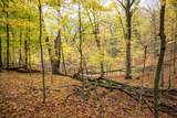 Lot 152 Pine Cone Lane - Photo 17