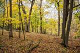 Lot 152 Pine Cone Lane - Photo 4