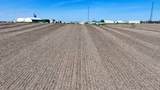47&Acirc;&plusmn; Acres Country Club Road - Photo 15