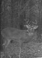787 State Highway 73 - Photo 5