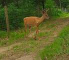 787 State Highway 73 - Photo 7