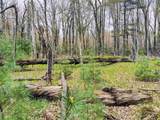 1120 Bighorn Drive - Photo 47