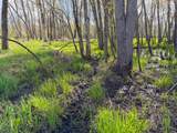 100.54 Acres Katuin Road - Photo 34