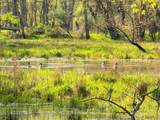 100.54 Acres Katuin Road - Photo 37