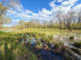 100.54 Acres Katuin Road - Photo 55