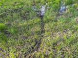 100.54 Acres Katuin Road - Photo 56
