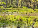 100.54 Acres Katuin Road - Photo 63
