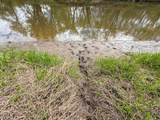 100.54 Acres Katuin Road - Photo 7
