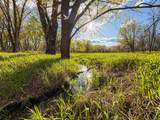100.54 Acres Katuin Road - Photo 83