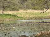 100.54 Acres Katuin Road - Photo 86