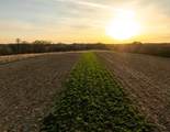 5781&Acirc;&plusmn; Acres Highway 133 - Photo 14