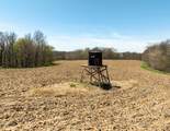 5781&Acirc;&plusmn; Acres Highway 133 - Photo 18