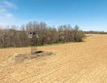5781&Acirc;&plusmn; Acres Highway 133 - Photo 19
