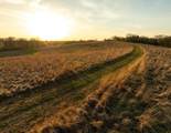 5781&Acirc;&plusmn; Acres Highway 133 - Photo 2