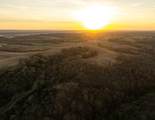 5781&Acirc;&plusmn; Acres Highway 133 - Photo 3