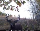 5781&Acirc;&plusmn; Acres Highway 133 - Photo 34