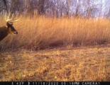 5781&Acirc;&plusmn; Acres Highway 133 - Photo 35