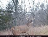 5781&Acirc;&plusmn; Acres Highway 133 - Photo 36