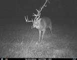 5781&Acirc;&plusmn; Acres Highway 133 - Photo 39