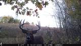 5781&Acirc;&plusmn; Acres Highway 133 - Photo 44