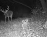 5781&Acirc;&plusmn; Acres Highway 133 - Photo 45