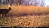 5781&Acirc;&plusmn; Acres Highway 133 - Photo 46