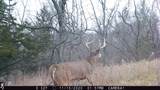 5781&Acirc;&plusmn; Acres Highway 133 - Photo 47