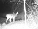 5781&Acirc;&plusmn; Acres Highway 133 - Photo 48
