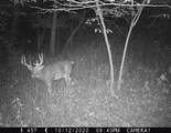 5781&Acirc;&plusmn; Acres Highway 133 - Photo 49
