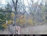 5781&Acirc;&plusmn; Acres Highway 133 - Photo 50