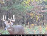 5781&Acirc;&plusmn; Acres Highway 133 - Photo 54