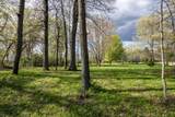 26 ac Hog Island Road - Photo 16
