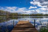 26 ac Hog Island Road - Photo 3