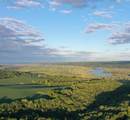 TBD 208 Acres Cottontail Lane - Photo 1