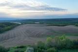 TBD 208 Acres Cottontail Lane - Photo 10