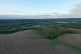 TBD 208 Acres Cottontail Lane - Photo 11