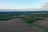 TBD 208 Acres Cottontail Lane - Photo 15