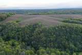 TBD 208 Acres Cottontail Lane - Photo 16