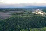 TBD 208 Acres Cottontail Lane - Photo 17