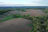 TBD 208 Acres Cottontail Lane - Photo 19