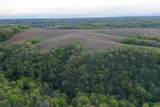 TBD 208 Acres Cottontail Lane - Photo 20
