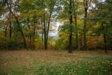 N947 Highway 58 - Photo 3